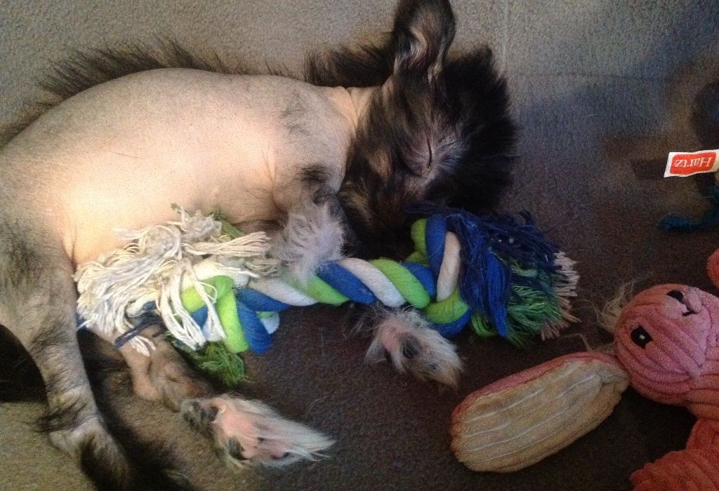 Little Roobert Sleeping