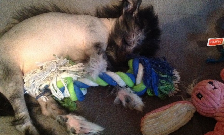 Little Roobert Sleeping