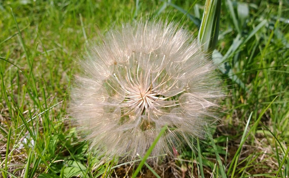 Geocaching in Peterborough