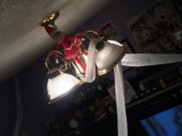 Looking Innocent! Looking Innocent!