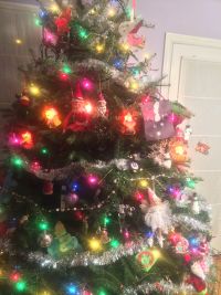 Can You See Me? Can You See Me?