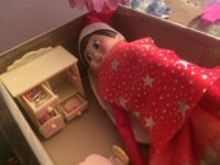 Cozied Up in the Fairy House Cozied Up in the Fairy House