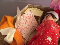 A Special Gift for Molly Lou A Special Gift for Molly Lou