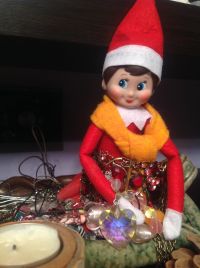 Sitting Pretty in the Necklaces! Sitting Pretty in the Necklaces!