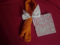 A Special Gift and Message for Molly Lou A Special Gift and Message for Molly Lou