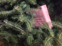 What Could It Be? What Could It Be?