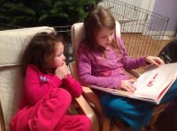 Reading Elf on the Shelf Reading Elf on the Shelf