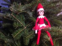 Sitting Pretty Sitting Pretty