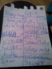 What Will We Name Her? What Will We Name Her?